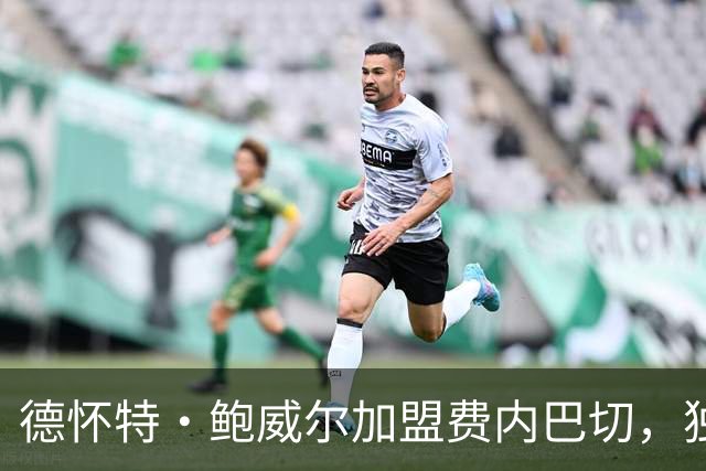 德怀特·鲍威尔加盟费内巴切，独行侠十二年生涯宣告结束